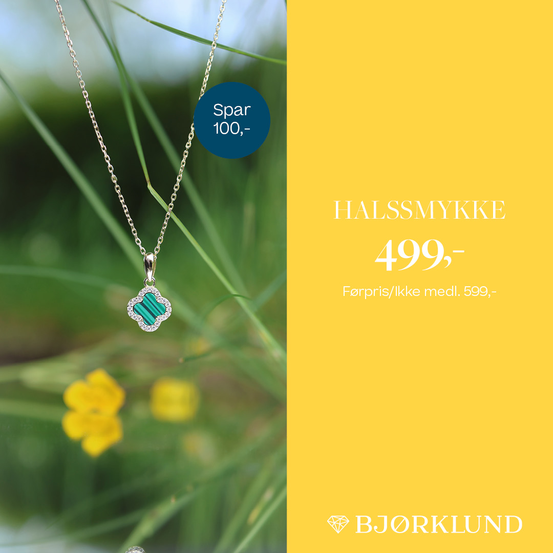 Sommersalg Bjørklund